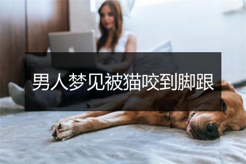 男人梦见被猫咬到脚跟