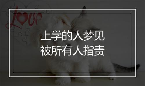 上学的人梦见被所有人指责