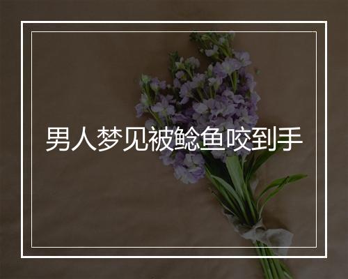 男人梦见被鲶鱼咬到手