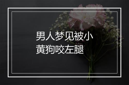 男人梦见被小黄狗咬左腿