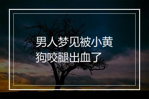 男人梦见被小黄狗咬腿出血了