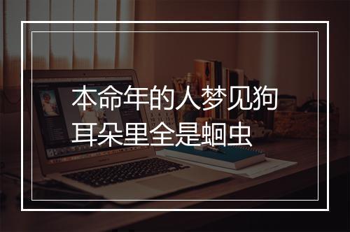 本命年的人梦见狗耳朵里全是蛔虫