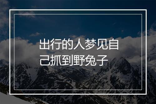 出行的人梦见自己抓到野兔子