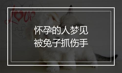 怀孕的人梦见被兔子抓伤手