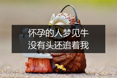 怀孕的人梦见牛没有头还追着我