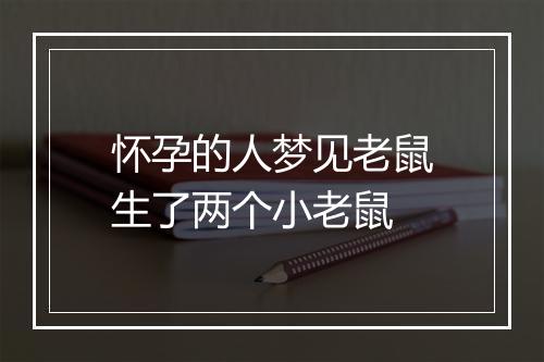 怀孕的人梦见老鼠生了两个小老鼠