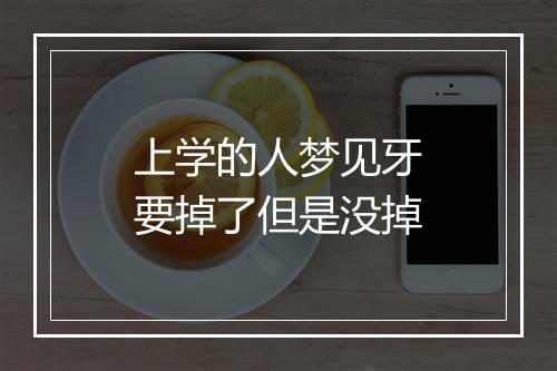 上学的人梦见牙要掉了但是没掉