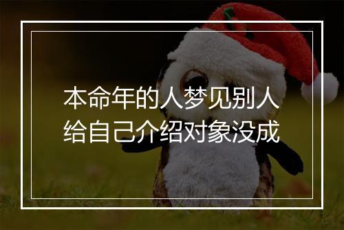 本命年的人梦见别人给自己介绍对象没成