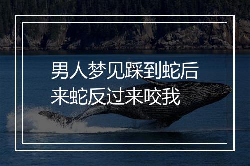 男人梦见踩到蛇后来蛇反过来咬我