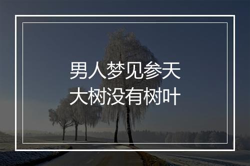 男人梦见参天大树没有树叶