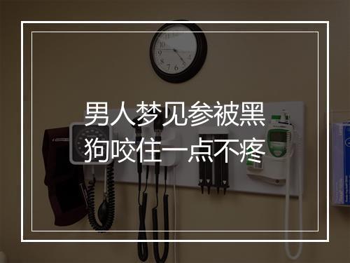 男人梦见参被黑狗咬住一点不疼