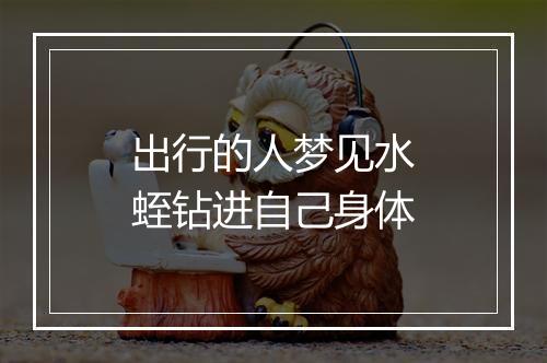 出行的人梦见水蛭钻进自己身体