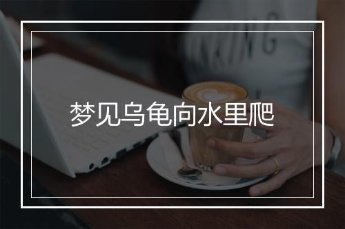 梦见乌龟向水里爬