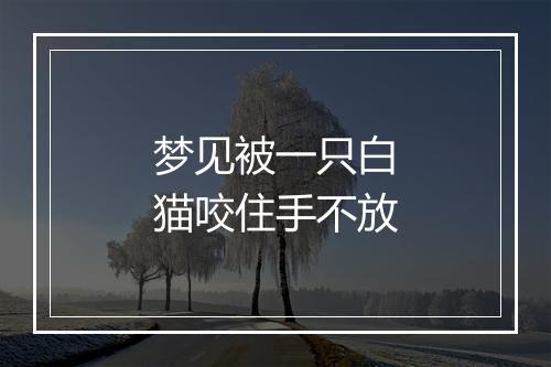 梦见被一只白猫咬住手不放