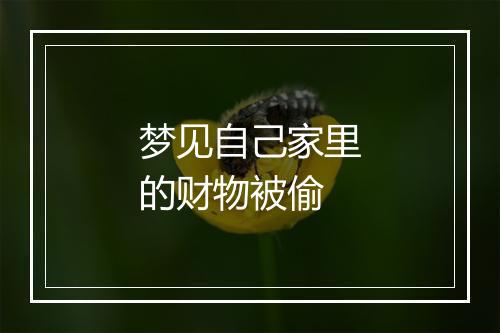 梦见自己家里的财物被偷