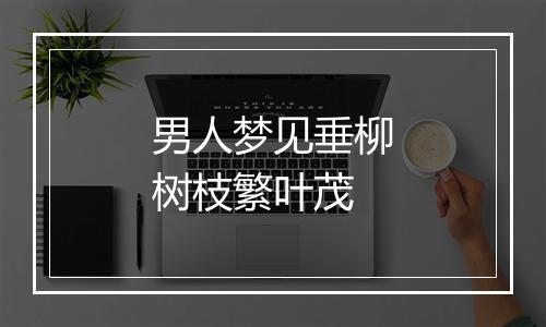 男人梦见垂柳树枝繁叶茂