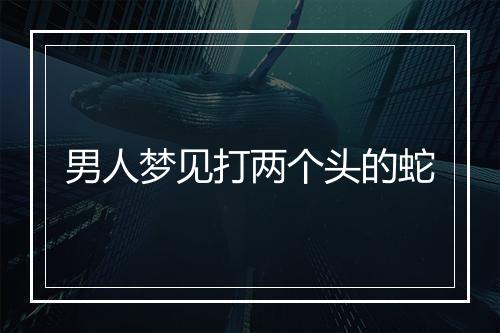 男人梦见打两个头的蛇