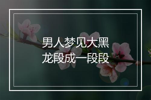 男人梦见大黑龙段成一段段