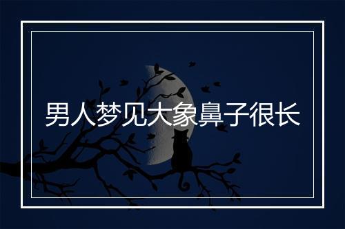 男人梦见大象鼻子很长