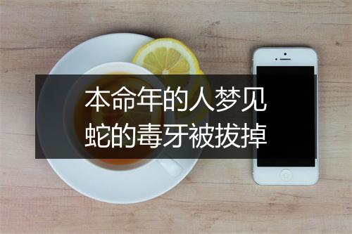 本命年的人梦见蛇的毒牙被拔掉