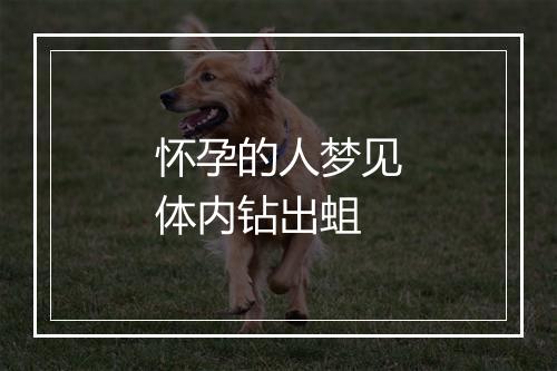 怀孕的人梦见体内钻出蛆