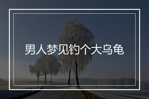 男人梦见钓个大乌龟