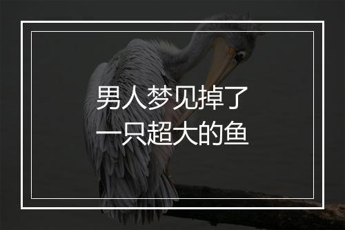 男人梦见掉了一只超大的鱼