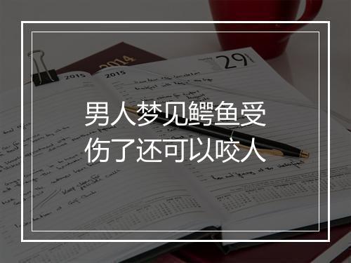 男人梦见鳄鱼受伤了还可以咬人