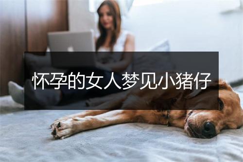 怀孕的女人梦见小猪仔