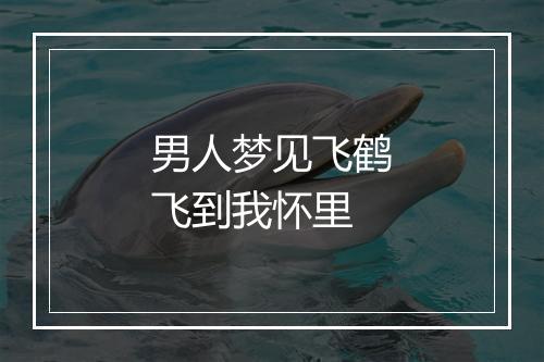 男人梦见飞鹤飞到我怀里