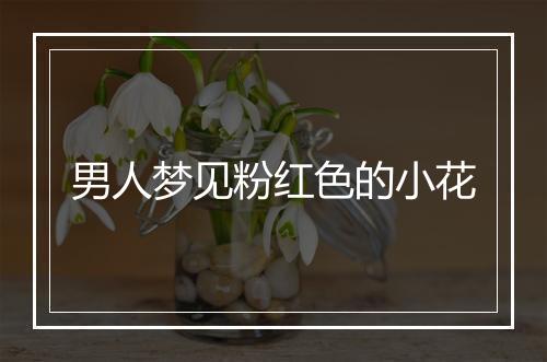 男人梦见粉红色的小花