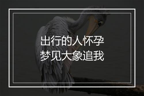 出行的人怀孕梦见大象追我