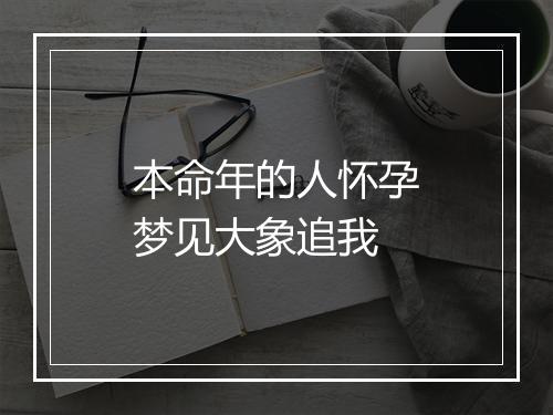 本命年的人怀孕梦见大象追我