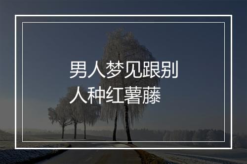 男人梦见跟别人种红薯藤