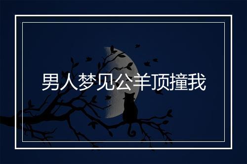 男人梦见公羊顶撞我