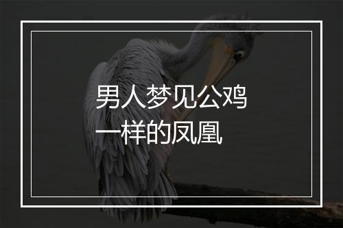 男人梦见公鸡一样的凤凰