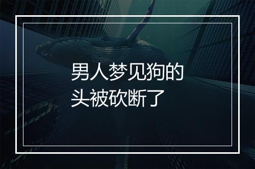 男人梦见狗的头被砍断了