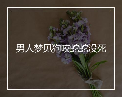 男人梦见狗咬蛇蛇没死