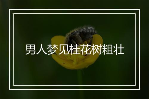 男人梦见桂花树粗壮