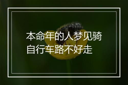 本命年的人梦见骑自行车路不好走