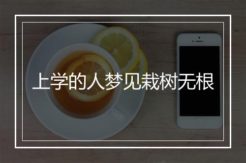 上学的人梦见栽树无根