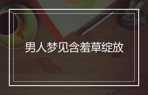 男人梦见含羞草绽放