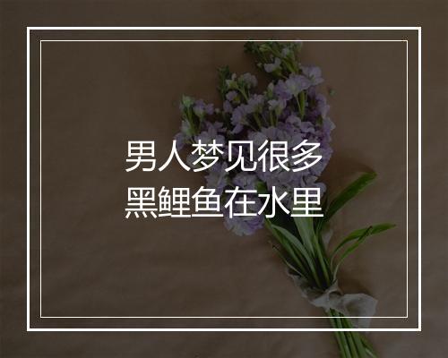 男人梦见很多黑鲤鱼在水里