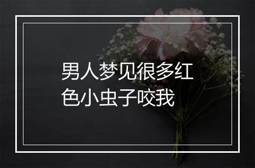 男人梦见很多红色小虫子咬我