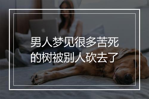 男人梦见很多苦死的树被别人砍去了