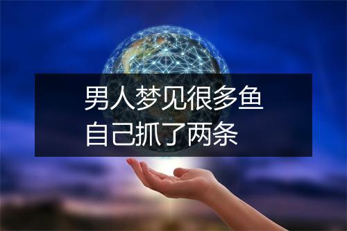 男人梦见很多鱼自己抓了两条