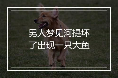 男人梦见河提坏了出现一只大鱼