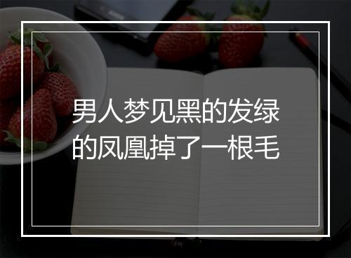 男人梦见黑的发绿的凤凰掉了一根毛