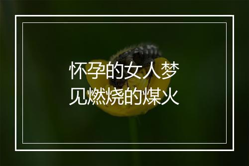 怀孕的女人梦见燃烧的煤火