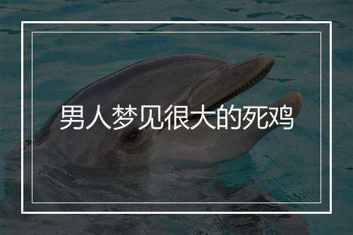 男人梦见很大的死鸡